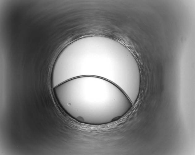 X0000088720003200705311105