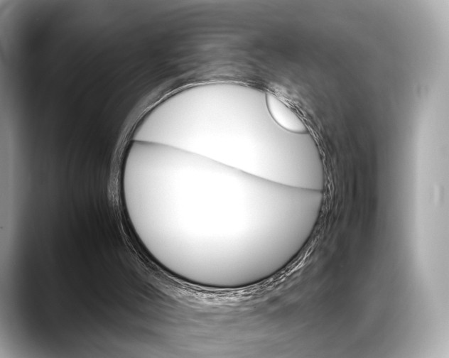 X0000088720004200705311105