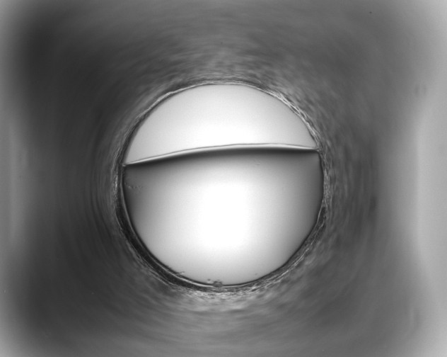 X0000088720005200705311105