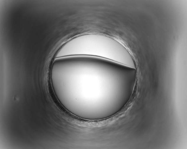 X0000088720007200705311105