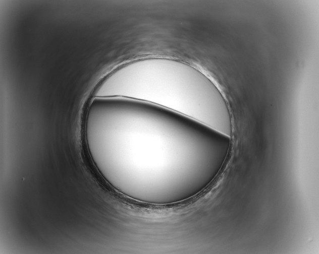 X0000088720008200705311105
