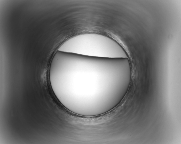 X0000088720010200705311105