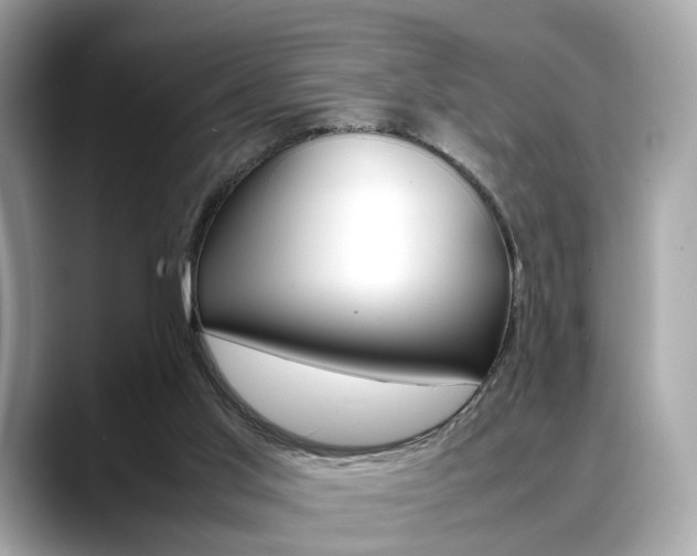 X0000088720013200705311105