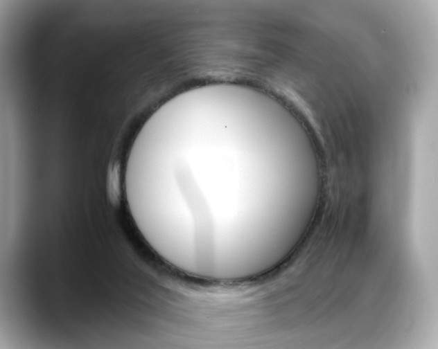 X0000088720020200705311105