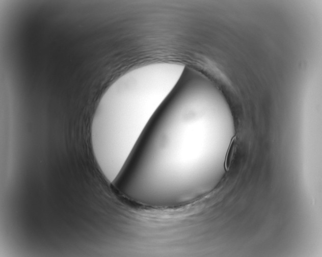 X0000088720025200705311105