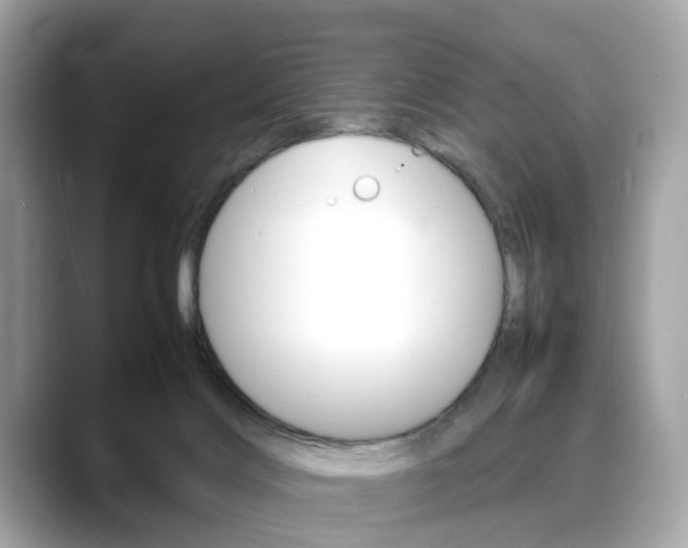 X0000088720028200705311105