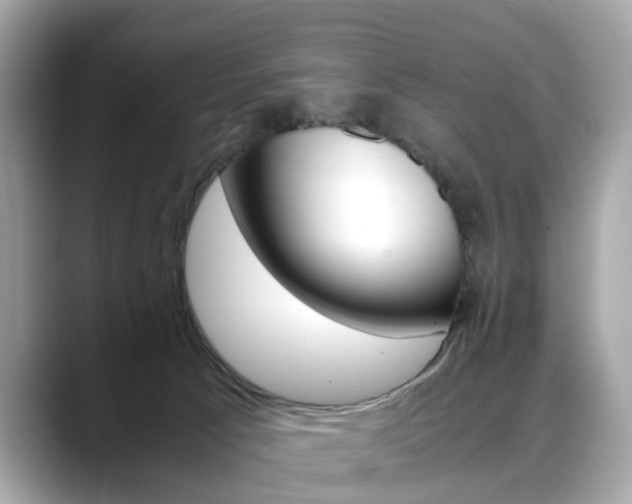 X0000088720033200705311105