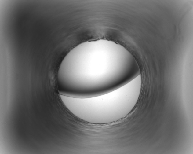 X0000088720037200705311105
