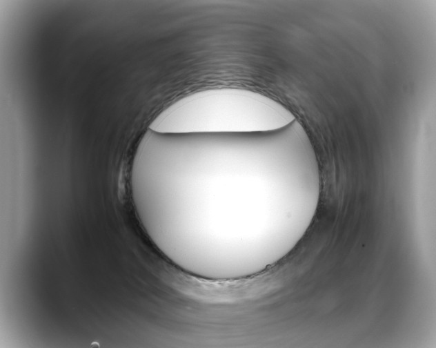 X0000088720038200705311105