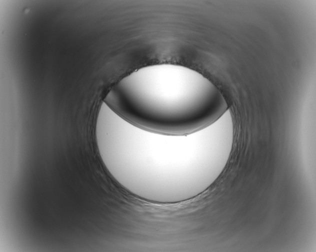 X0000088720039200705311105