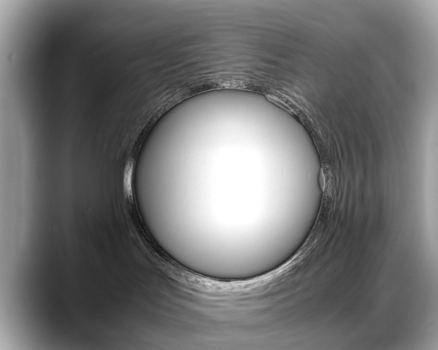 X0000088720047200705311105