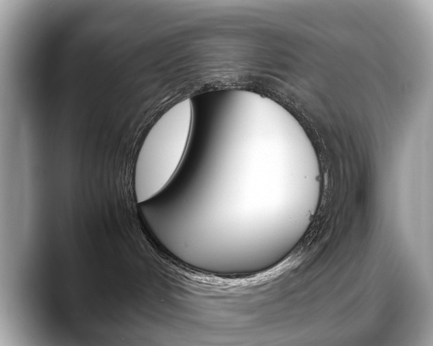 X0000088720048200705311105