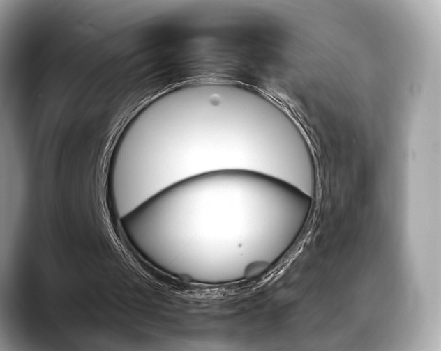 X0000088720049200705311104