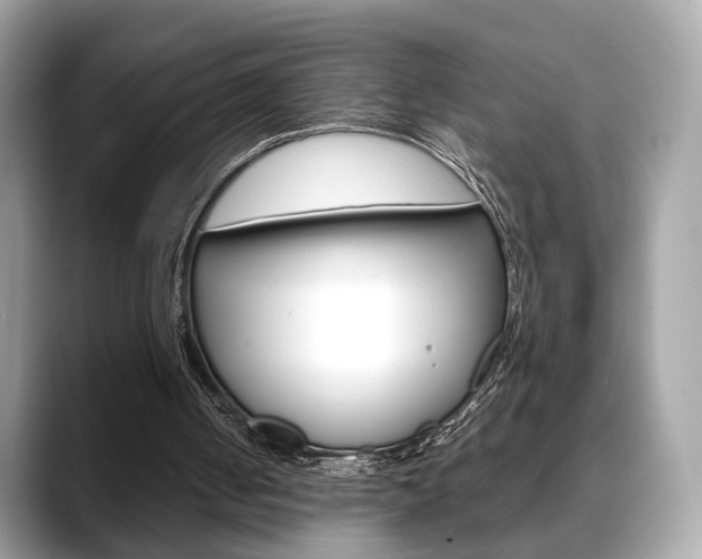 X0000088720050200705311104