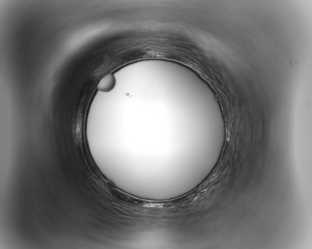 X0000088720052200705311104