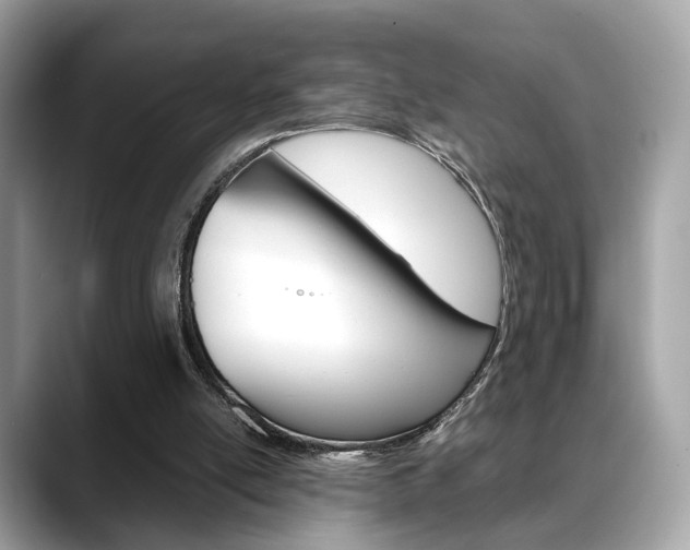 X0000088720054200705311104