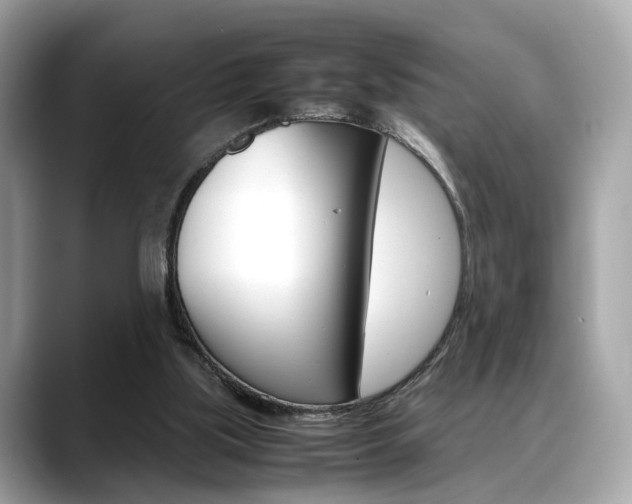 X0000088720059200705311104