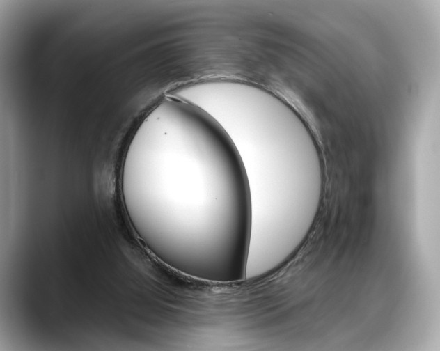 X0000088720060200705311104