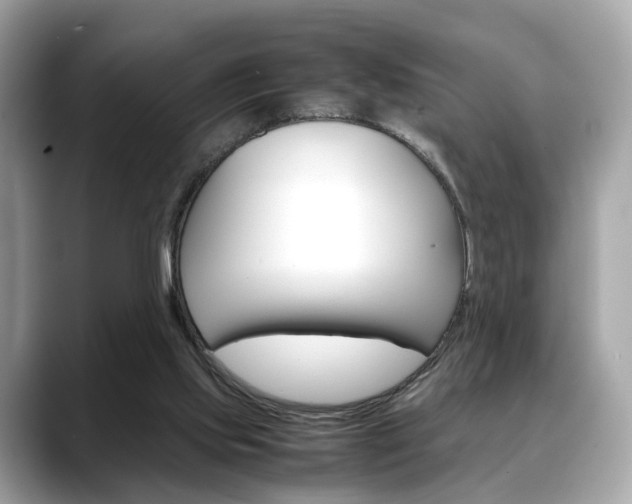 X0000088720061200705311104