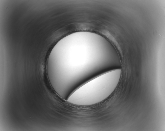 X0000088720063200705311104