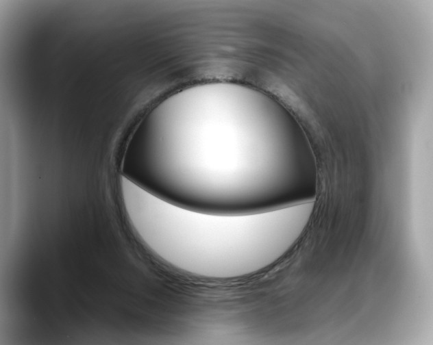 X0000088720064200705311104
