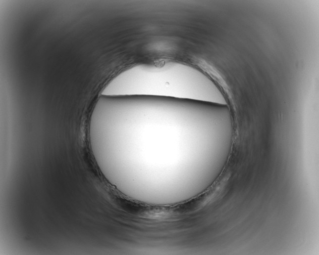 X0000088720065200705311105