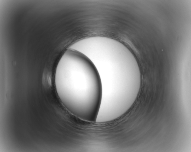 X0000088720068200705311105