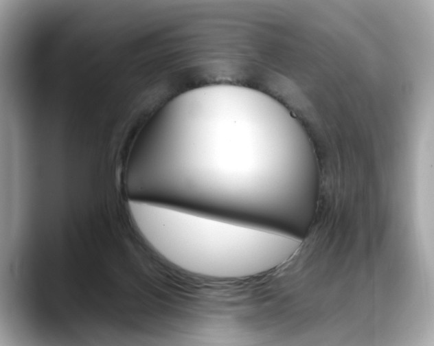 X0000088720070200705311105