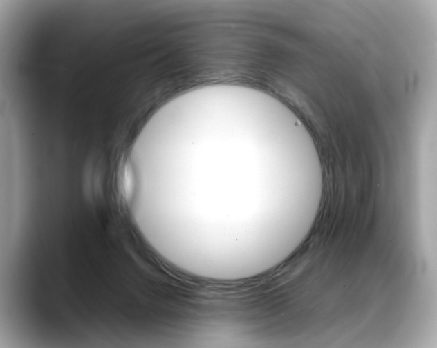 X0000088720072200705311105