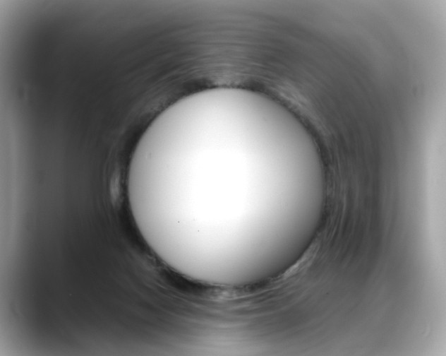 X0000088720074200705311105