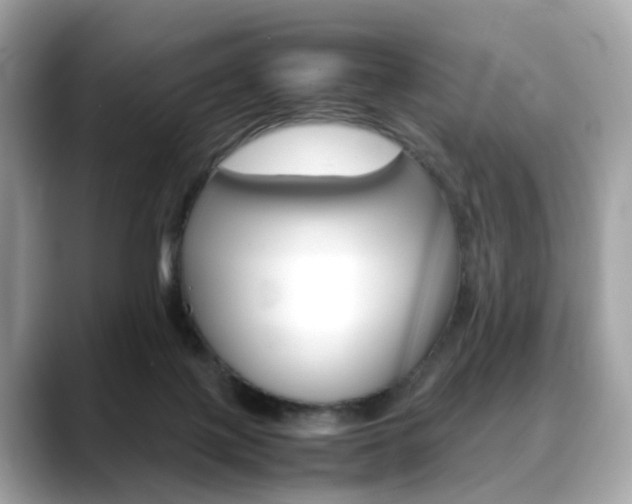 X0000088720075200705311105