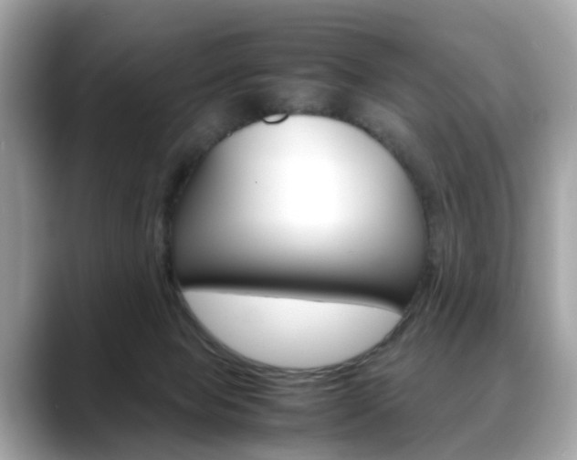 X0000088720077200705311105