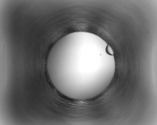 X0000088720083200705311105
