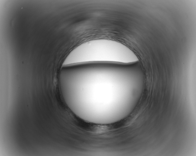 X0000088720085200705311105
