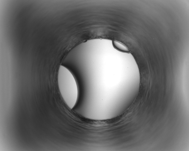 X0000088720087200705311105