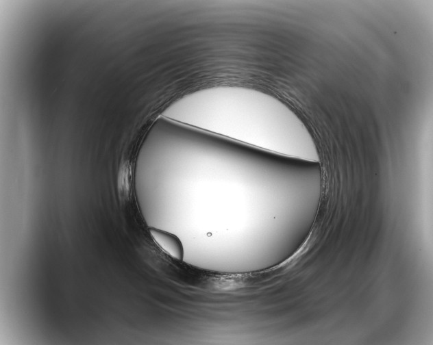 X0000088720094200705311105
