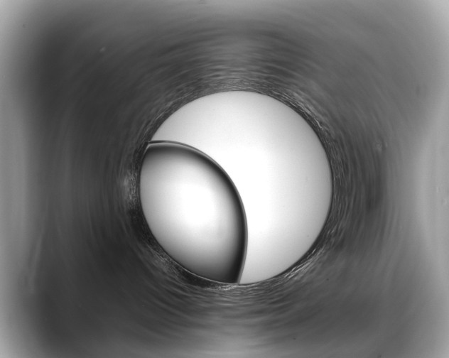 X0000088720096200705311105