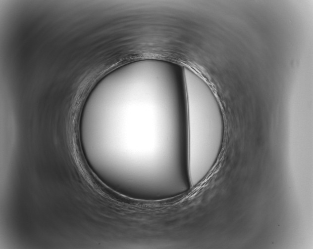 X0000088720097200705311104