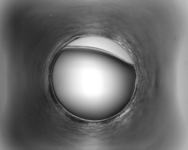 X0000088720101200705311104
