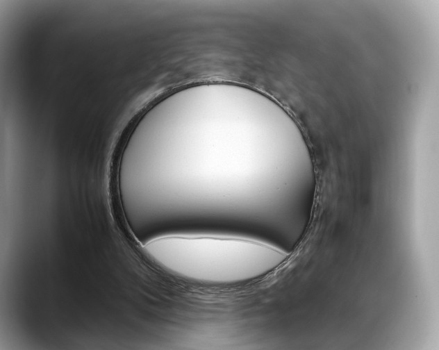 X0000088720104200705311104