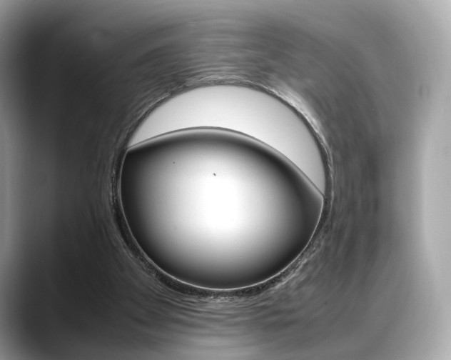 X0000088720105200705311104