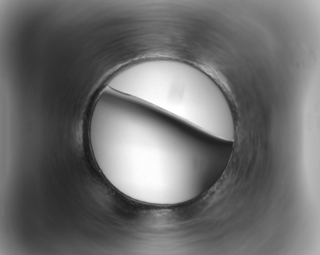 X0000088720108200705311104