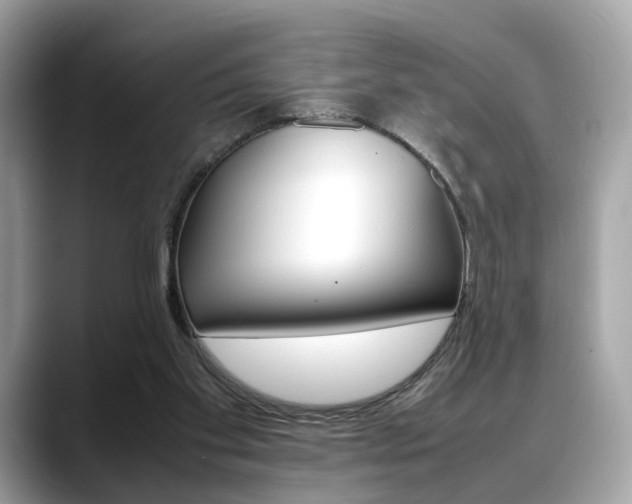 X0000088720109200705311104