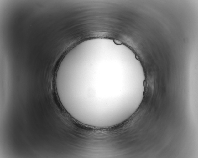 X0000088720110200705311104