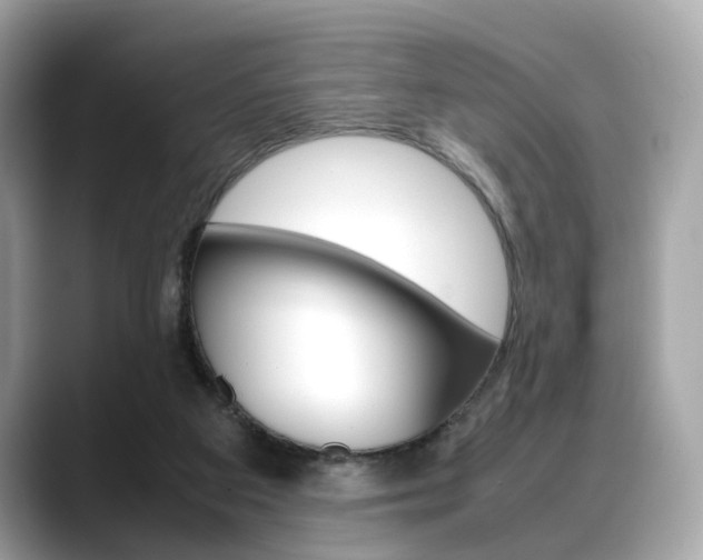 X0000088720113200705311104