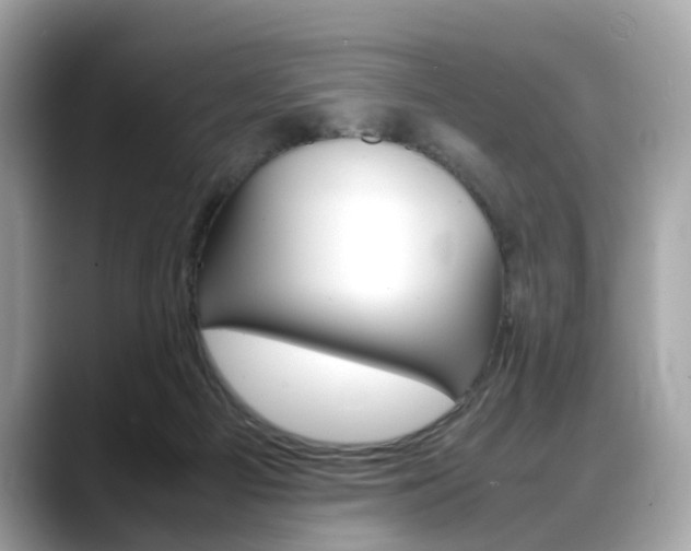 X0000088720121200705311104