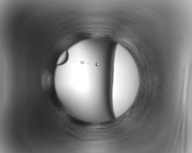 X0000088720123200705311104