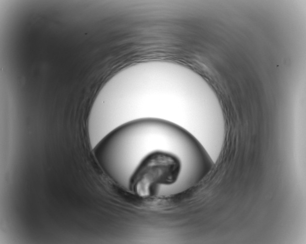 X0000088720125200705311104