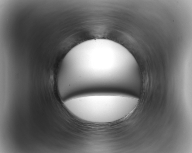 X0000088720128200705311104