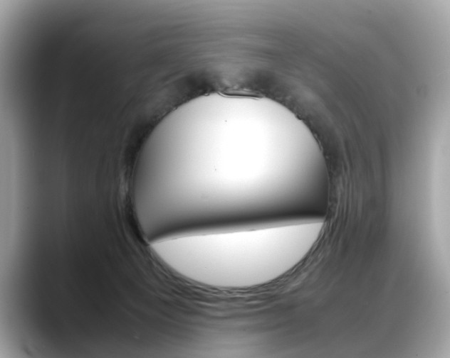 X0000088720129200705311104